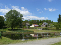rybník